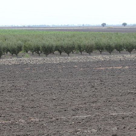 فيلا سان سيفيروفي Agriturismo Silos Agri الغرفة الصورة