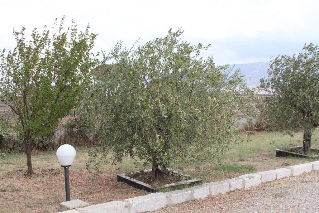 فيلا سان سيفيروفي Agriturismo Silos Agri المظهر الخارجي الصورة