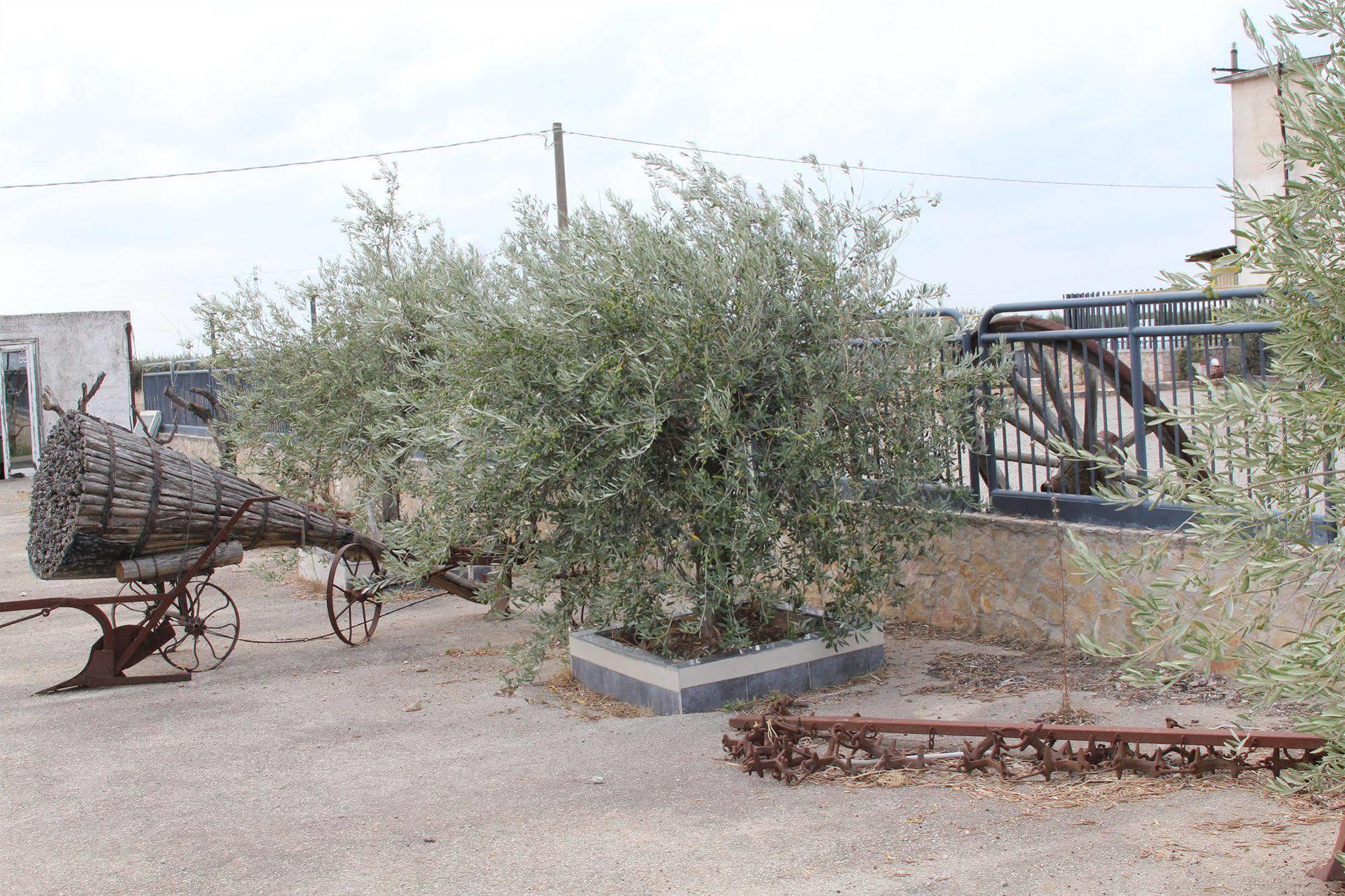 فيلا سان سيفيروفي Agriturismo Silos Agri المظهر الخارجي الصورة