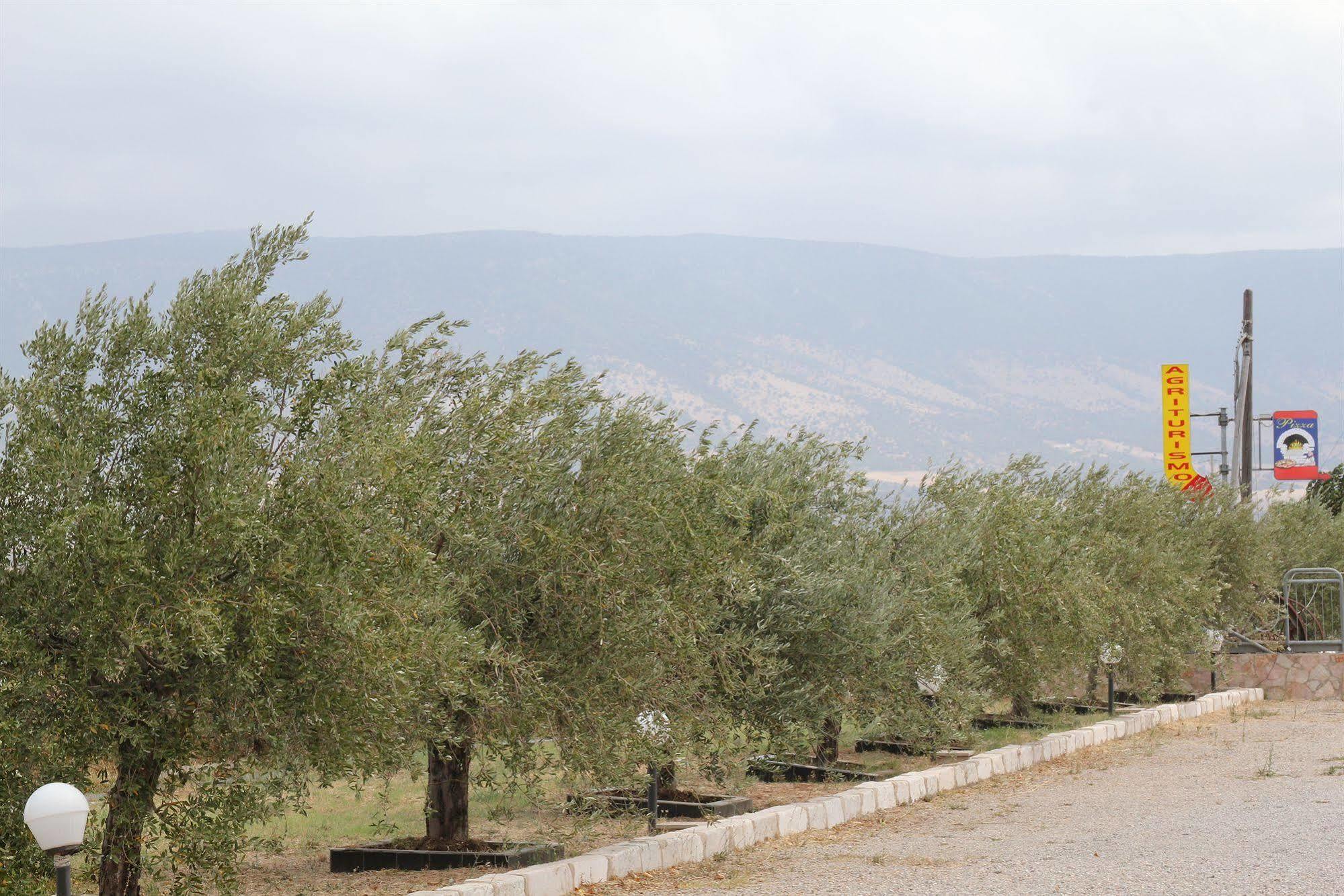 فيلا سان سيفيروفي Agriturismo Silos Agri المظهر الخارجي الصورة